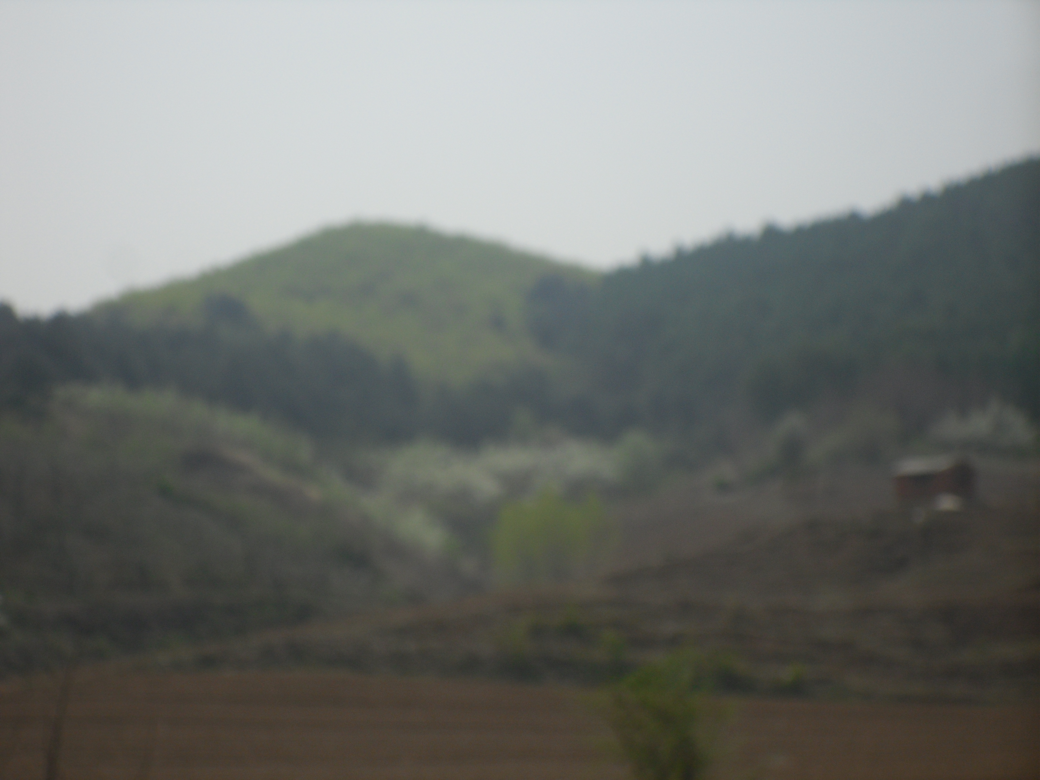 6̖(h��o) �����в���(zh��n)�����������ɽ��ʹ�Ù�(qu��n)�����Ϲ���