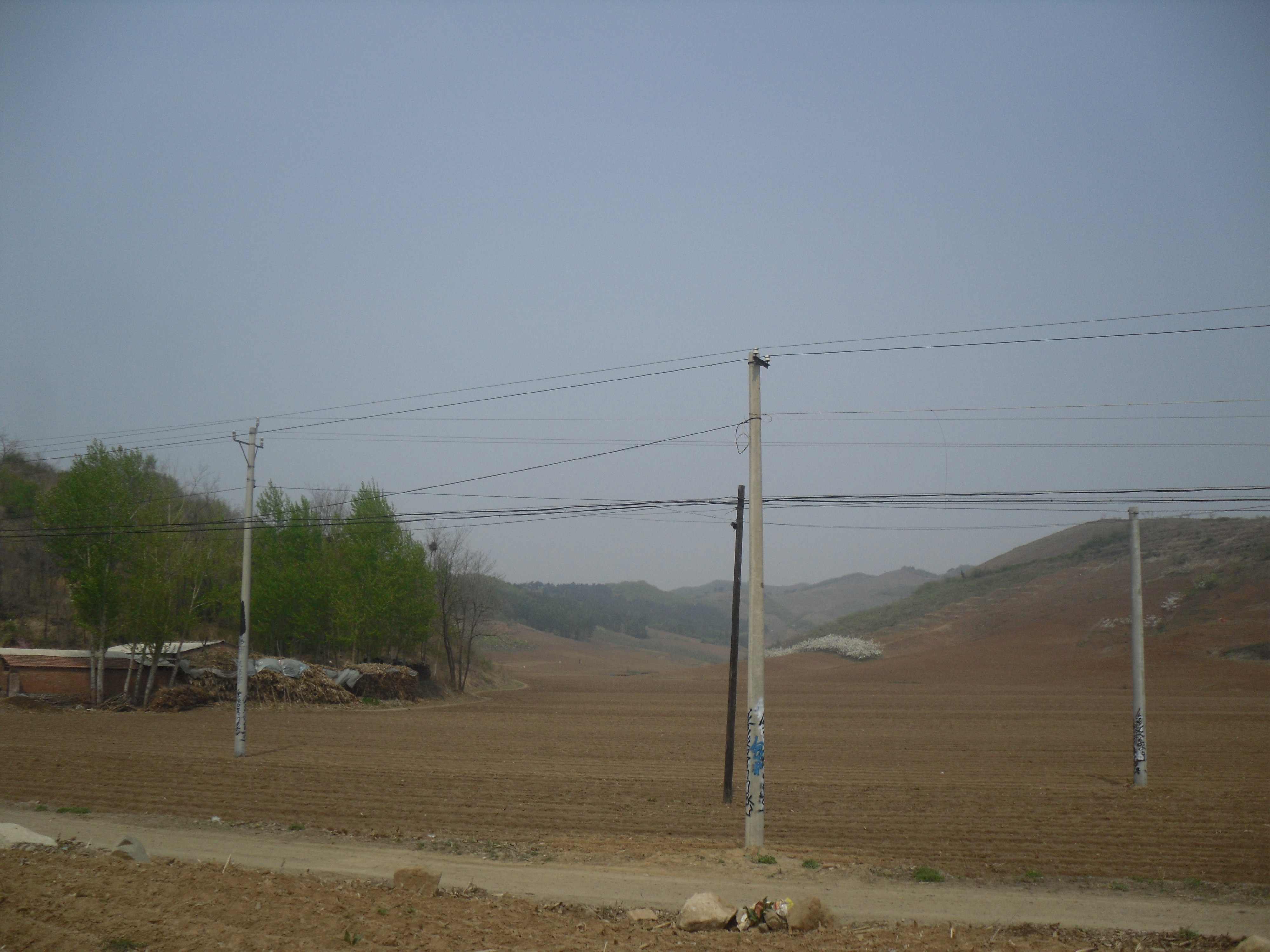 10̖(h��o) �����в���(zh��n)�����山��ϻ�����